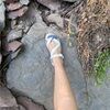 zxxsylvia